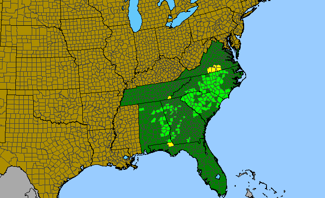 The range of Marshallia obovata