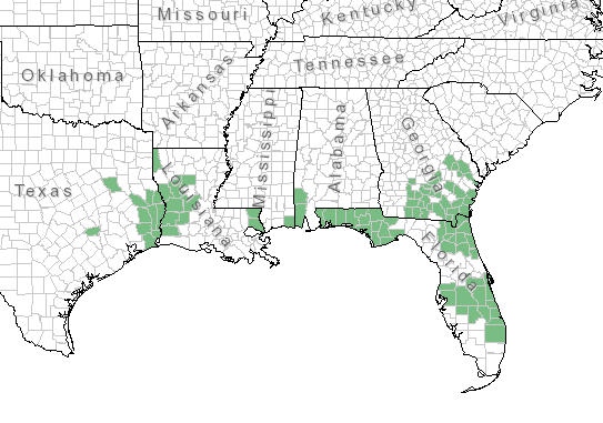 The range of Marshallia tenuifolia