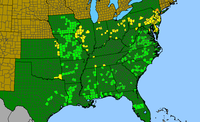 The range of Melanthium virginicum