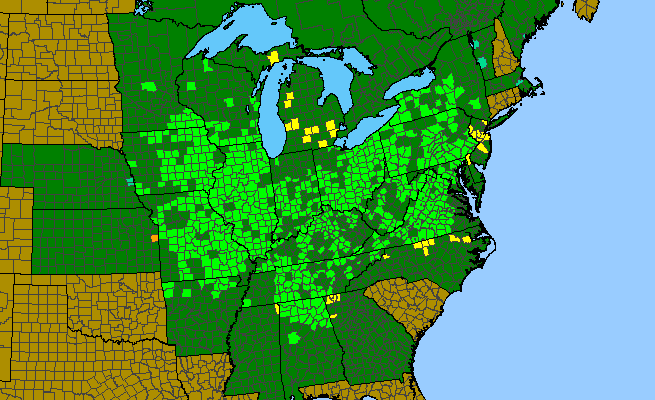 The range of Mertensia virginica