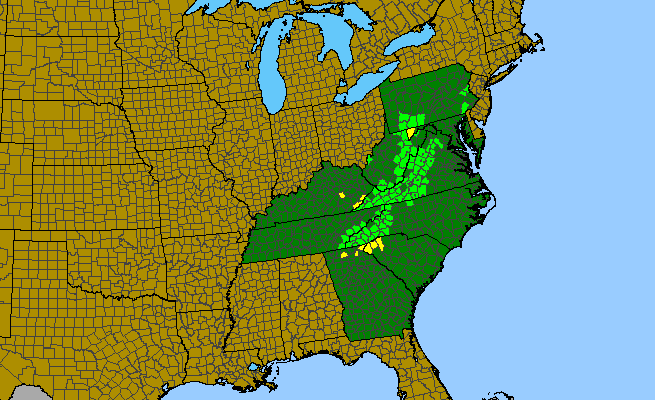 The range of Micranthes micranthidifolia