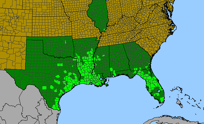 The range of Mimosa strigillosa