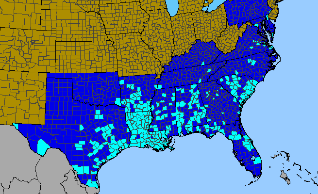 The range of Modiola caroliniana