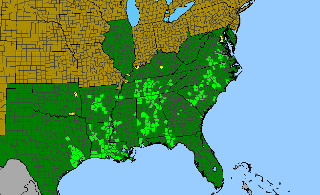 The range of Nemophila aphylla