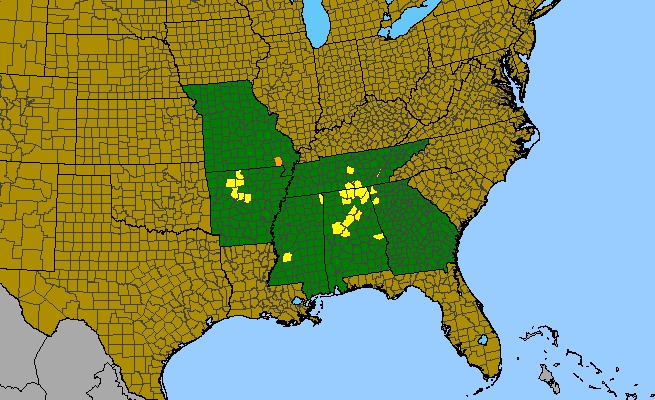 The range of Neviusia alabamensis