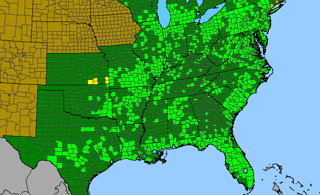 The range of Nuphar advena