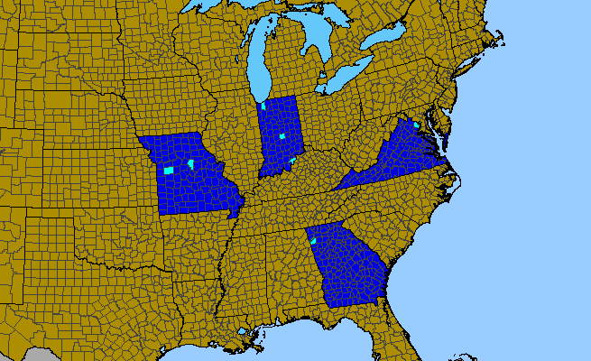 The range of Oenanthe javanica