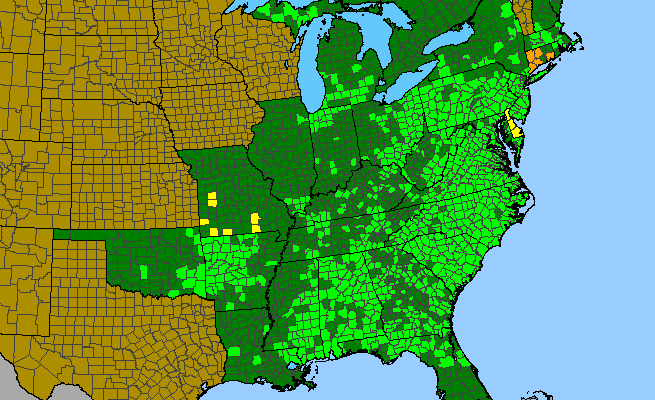The range of Oenothera fruticosa