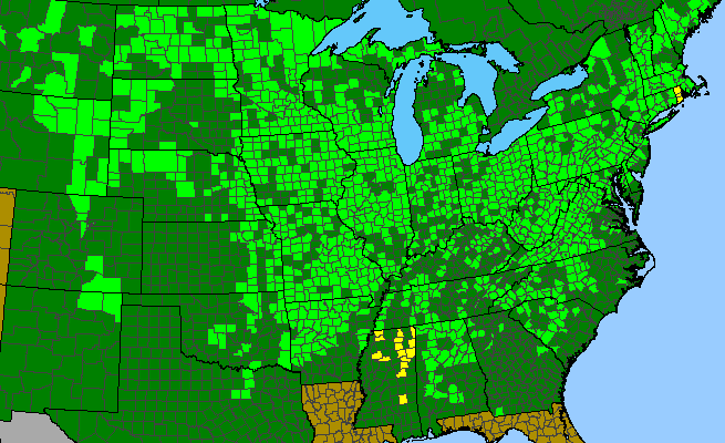 The range of Osmorhiza longistylis