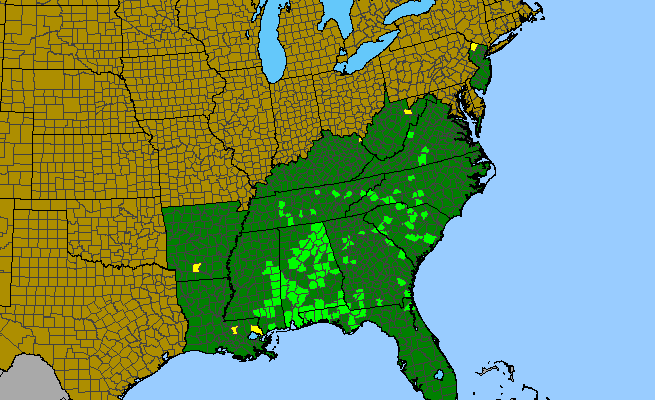The range of Oxalis colorea
