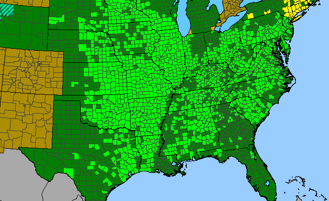 The range of Oxalis violacea