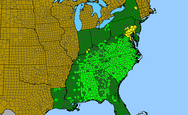 The range of Packera anonyma