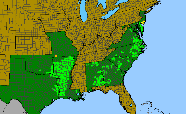 The range of Packera tomentosa