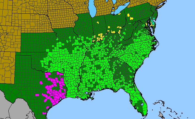 The range of Passiflora incarnata