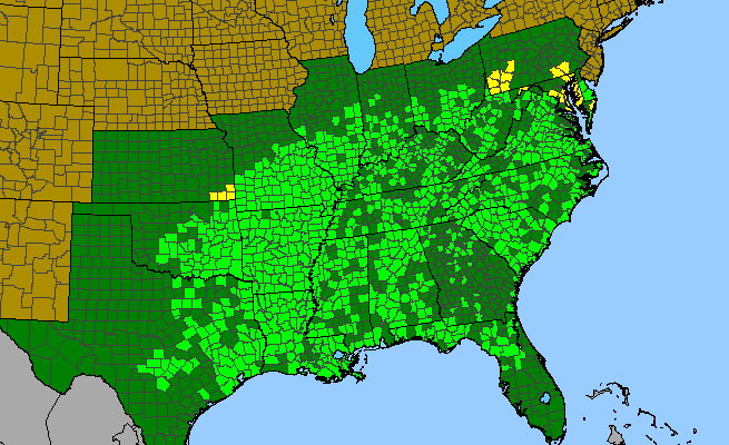 The range of Passiflora lutea