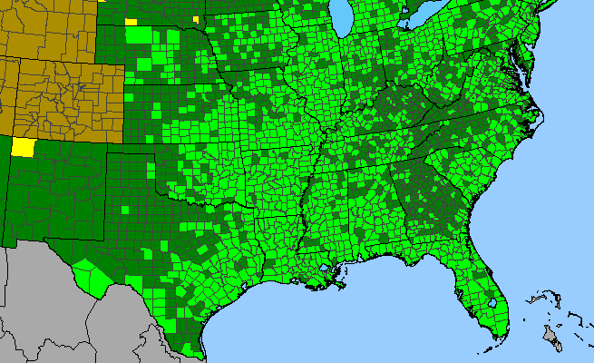 The range of Persicaria hydropiperoides