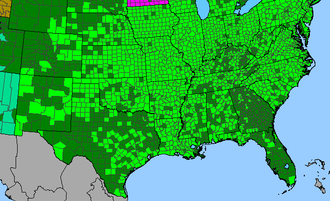 The range of Persicaria pensylvanica