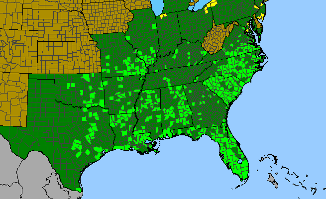 The range of Persicaria setacea