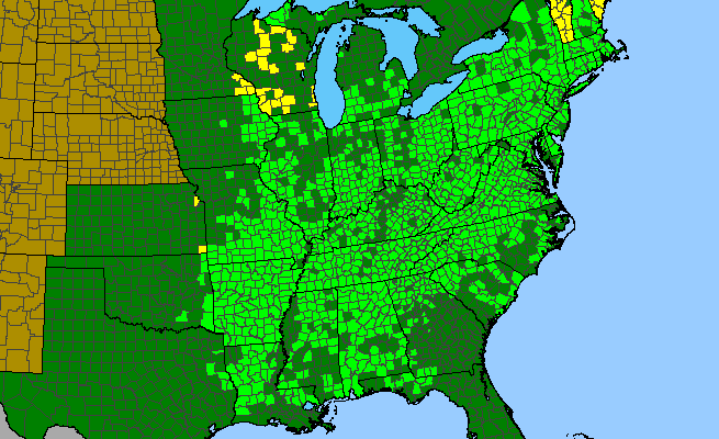 The range of Phegopteris hexagonoptera