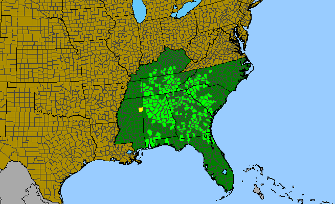The range of Phlox amoena