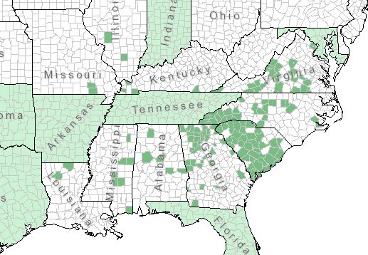 The range of Phlox carolina