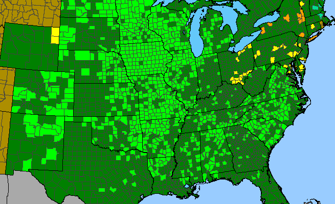 The range of Physalis virginiana