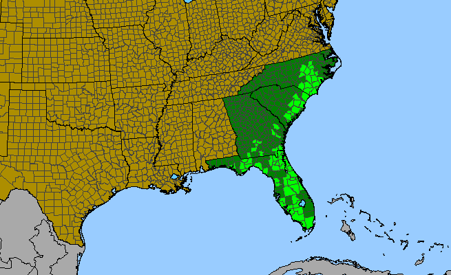 The range of Physostegia purpurea