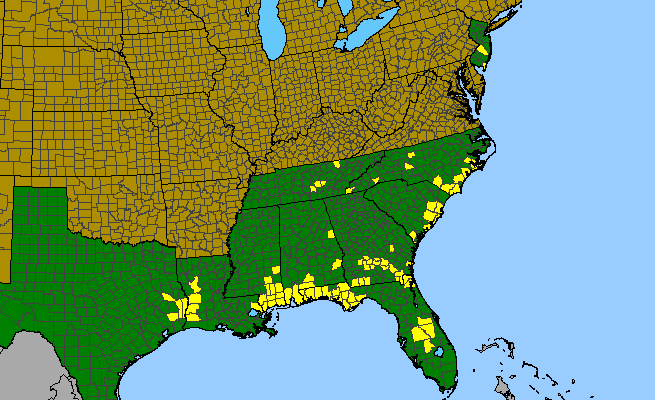 The range of Platanthera integra