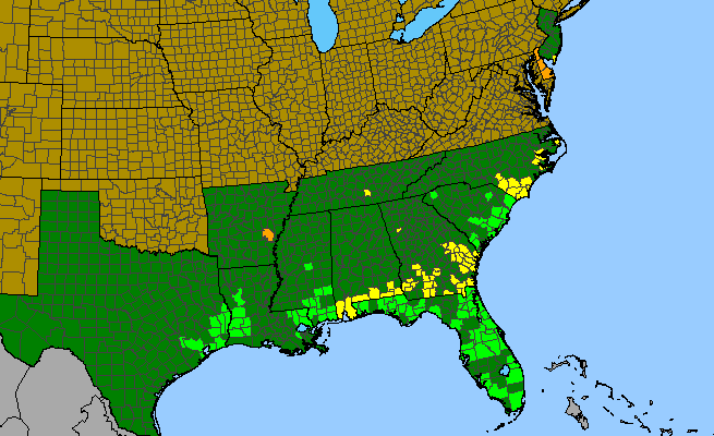 The range of Platanthera nivea