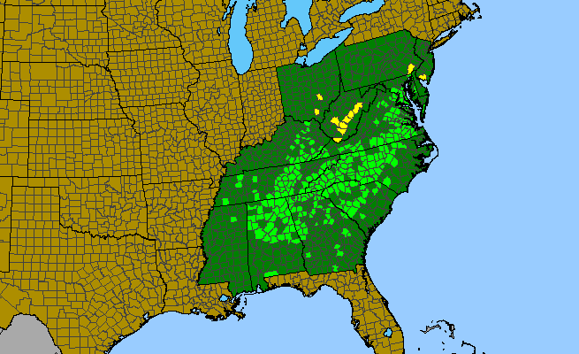 The range of Polygala curtissii