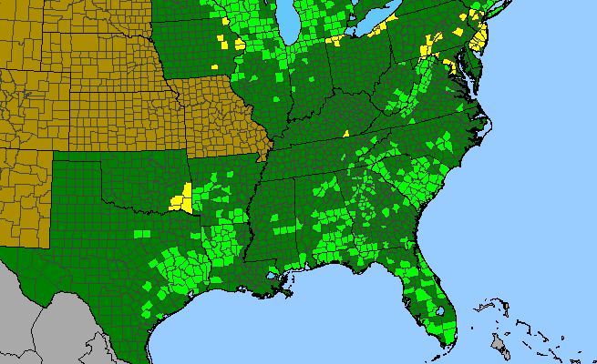 The range of Polygala polygama