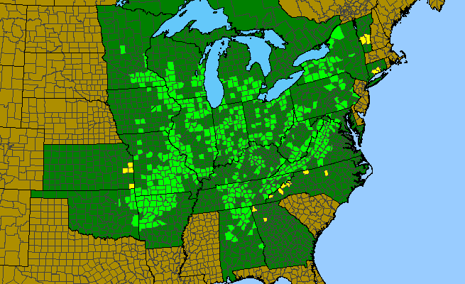 The range of Polymnia canadensis