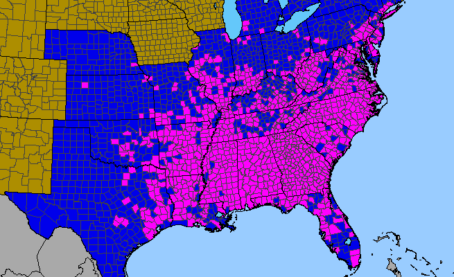 The range of Pueraria montana var. lobata
