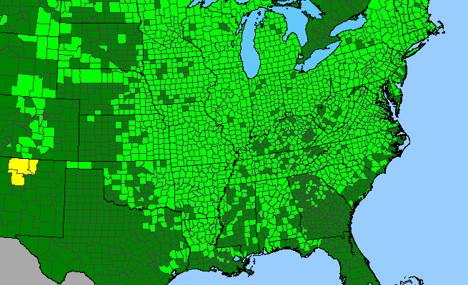The range of Ranunculus abortivus