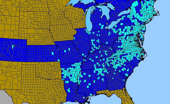 The range of Ranunculus bulbosus
