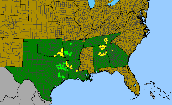 The range of Ribes curvatum