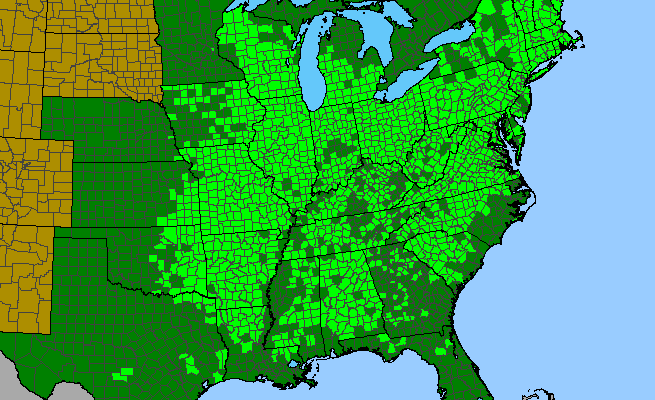 The range of Rosa carolina