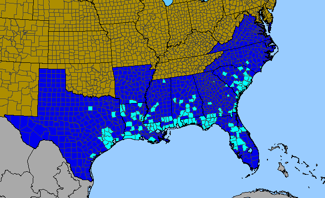 The range of Rosa laevigata