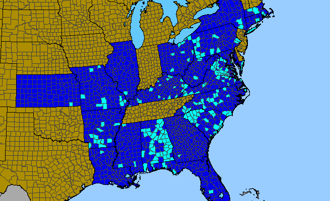 The range of Rosa luciae
