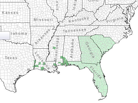 The range of Sabatia foliosa