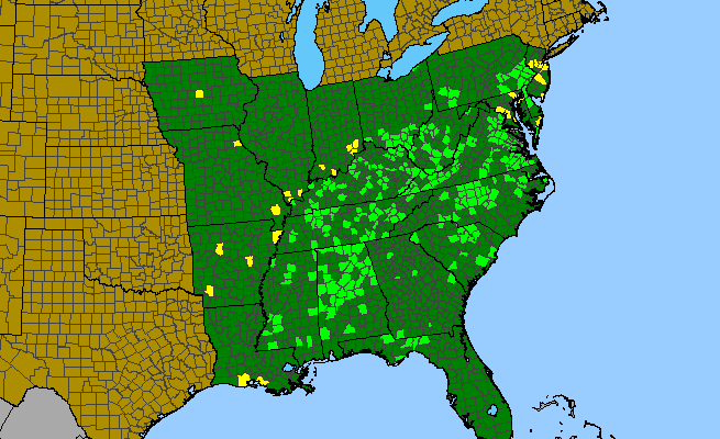 The range of Sagittaria australis