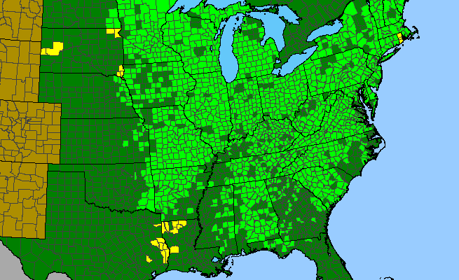 The range of Sanguinaria canadensis