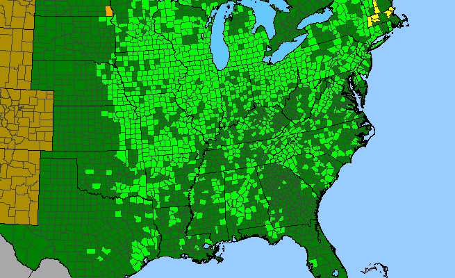 The range of Sanicula odorata