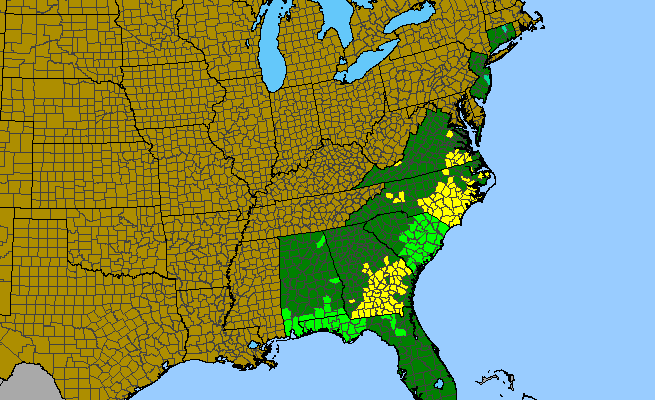 The range of Sarracenia flava