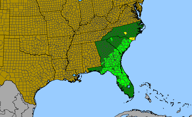 The range of Sarracenia minor