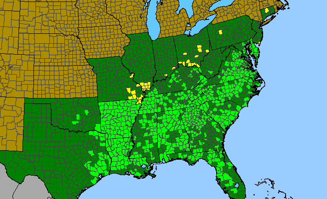 The range of Sceptridium biternatum
