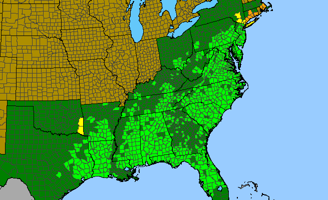 The range of Scutellaria integrifolia
