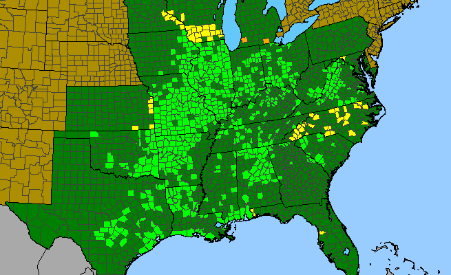 The range of Scutellaria ovata ssp. bracteata