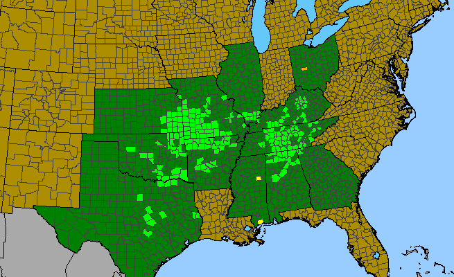 The range of Sedum pulchellum