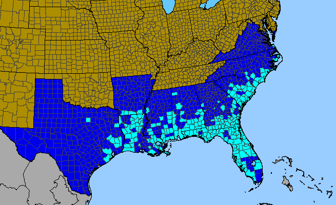 The range of Sesbania punicea